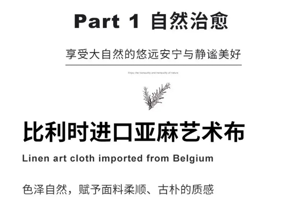 Lounge Double Living Room Sofas Floor Designer Cushion Elegant Sofa Comfortable Relax Divani Da Soggiorno House Accessories