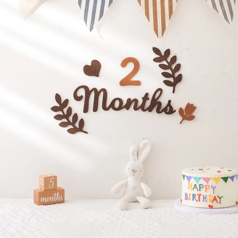 Felt 0 12 month Newborn Photography Props Milestone Newborn Accessories Photography Shooting Prop Baby Room Decorate Accessories