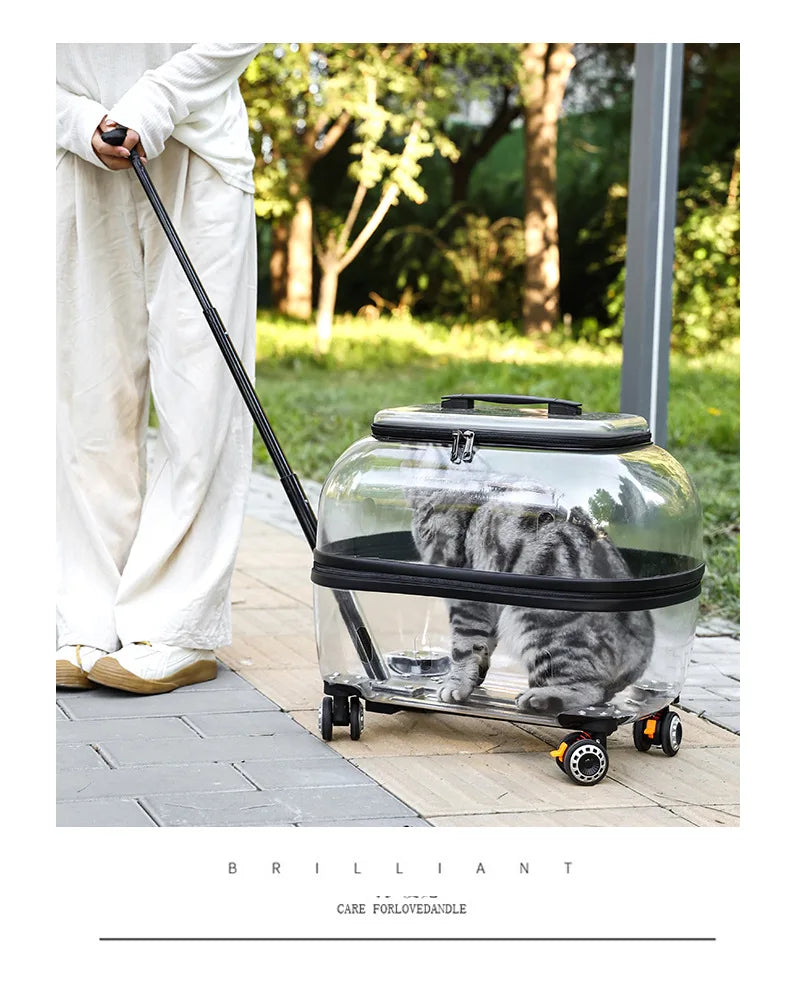 Fashion Transparent Cat Cage Large Capacity Pet Suitcase Breathable Cat Carriers Pull Rod/Handheld Dual Use Cat Transport Cart