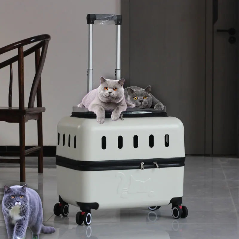 Large Pet Travel Carrier Rolling Pet Transport for Cats & Small Dogs Breathable Cat Suitcase Transparent Skylight Pet Stroller