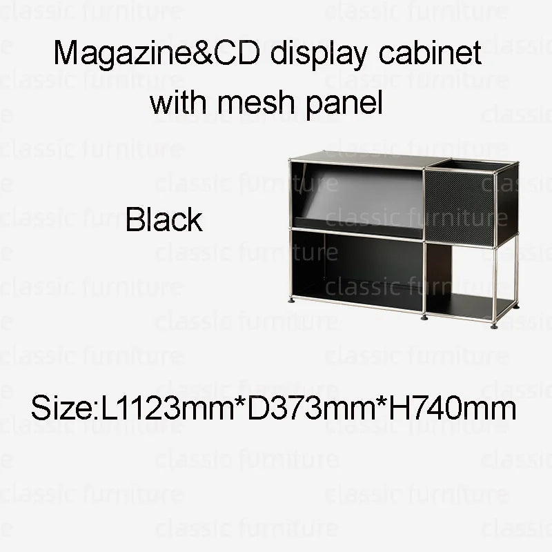 Modular Module Furniture Magazine CD Display Customized Metal Stainless Steel Cabinet  Storage  Sideboard Shelf DIY Living Room