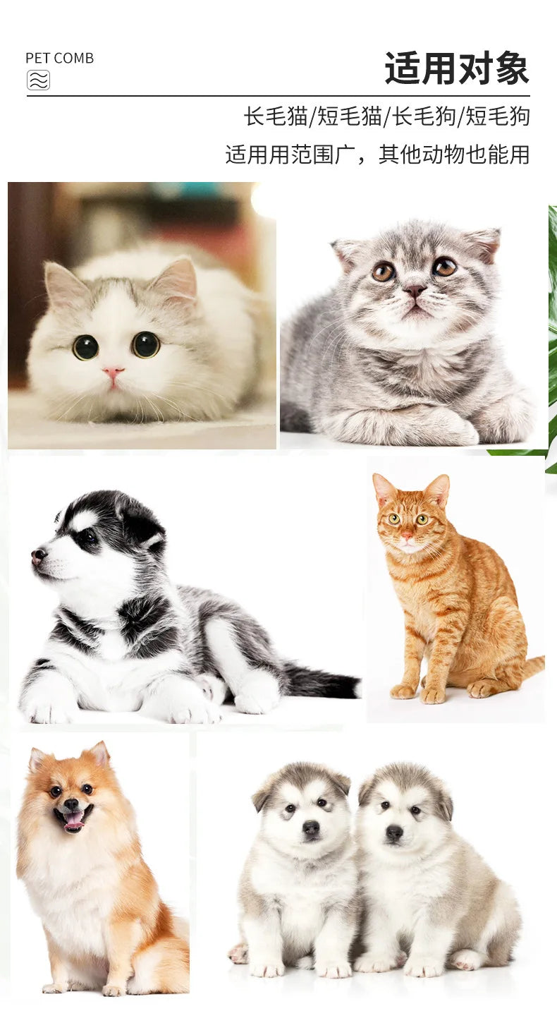 Professional Flea Comb for Dogs and Cats, Effective Grooming Tool for Removing Fleas and Ticks