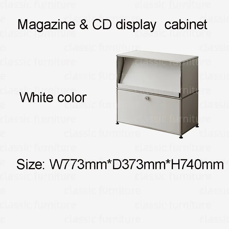 Modular Module Furniture Magazine CD Display Customized Metal Stainless Steel Cabinet  Storage  Sideboard Shelf DIY Living Room