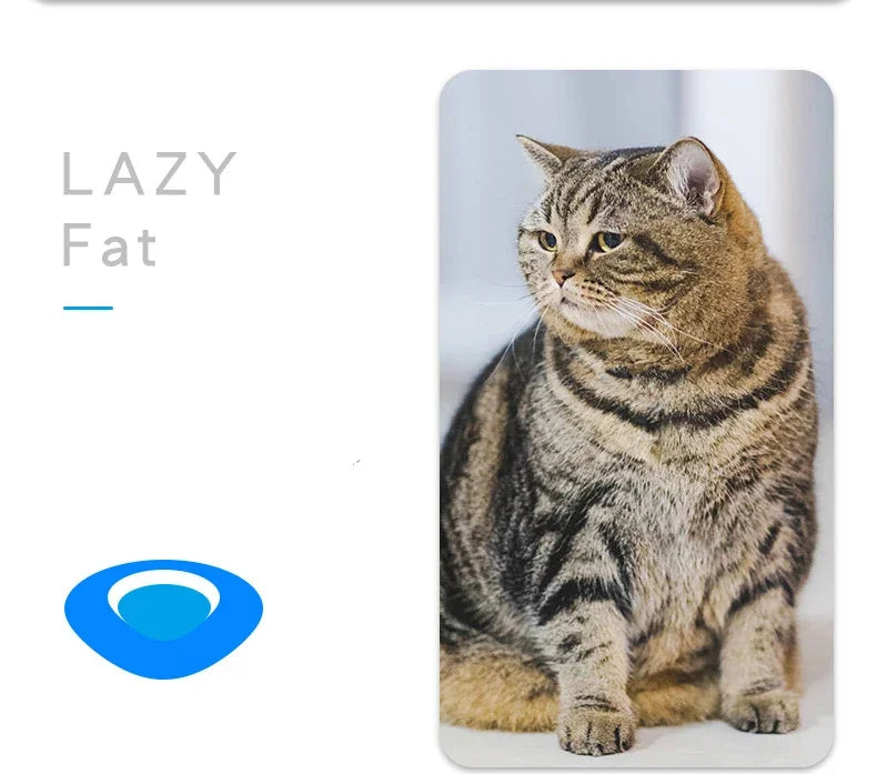 Mini Electric Bug Pet Dog Cat Toy Interactive Cute Ladybird Beetle Animal Shape Cat Toys Walking Insect Cat Playing Supplies