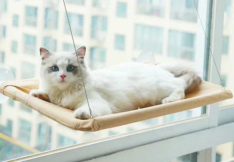 20KG Pet Cat Hammock with Mat Hanging Cat Bed Bearing Comfortable Cat Window Seat Mount Cats Beds and Furniture Cats Accessories