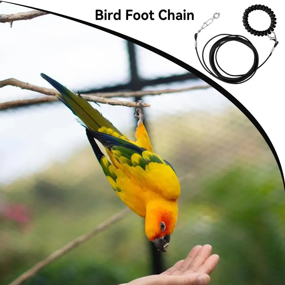 Parrot Bird Flying Training Leashh Rope Anti-flying Foot Chainsize 6 foot ring Ring Outdoor Birds Supplies