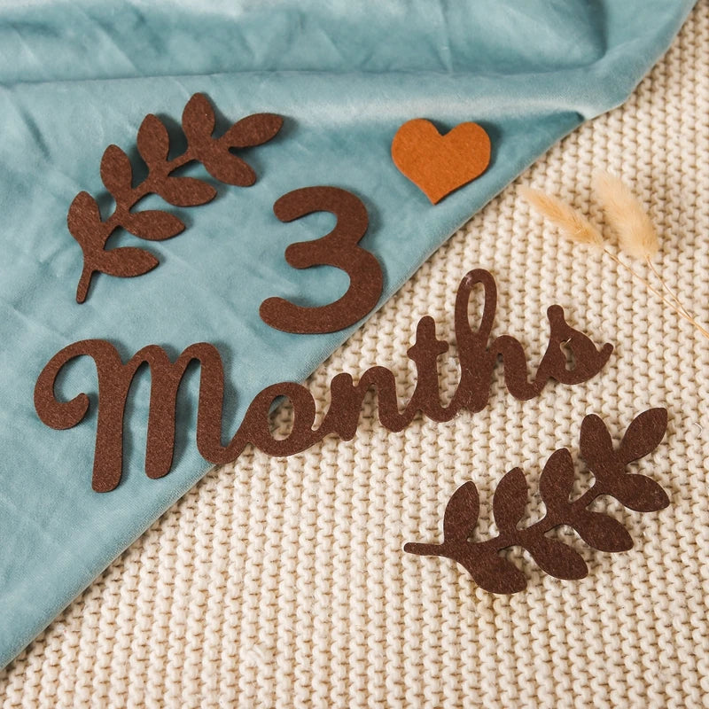 Felt 0 12 month Newborn Photography Props Milestone Newborn Accessories Photography Shooting Prop Baby Room Decorate Accessories