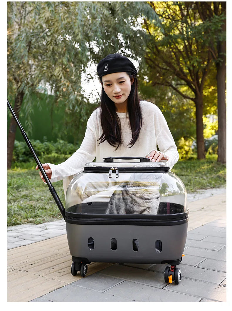 Fashion Transparent Cat Cage Large Capacity Pet Suitcase Breathable Cat Carriers Pull Rod/Handheld Dual Use Cat Transport Cart