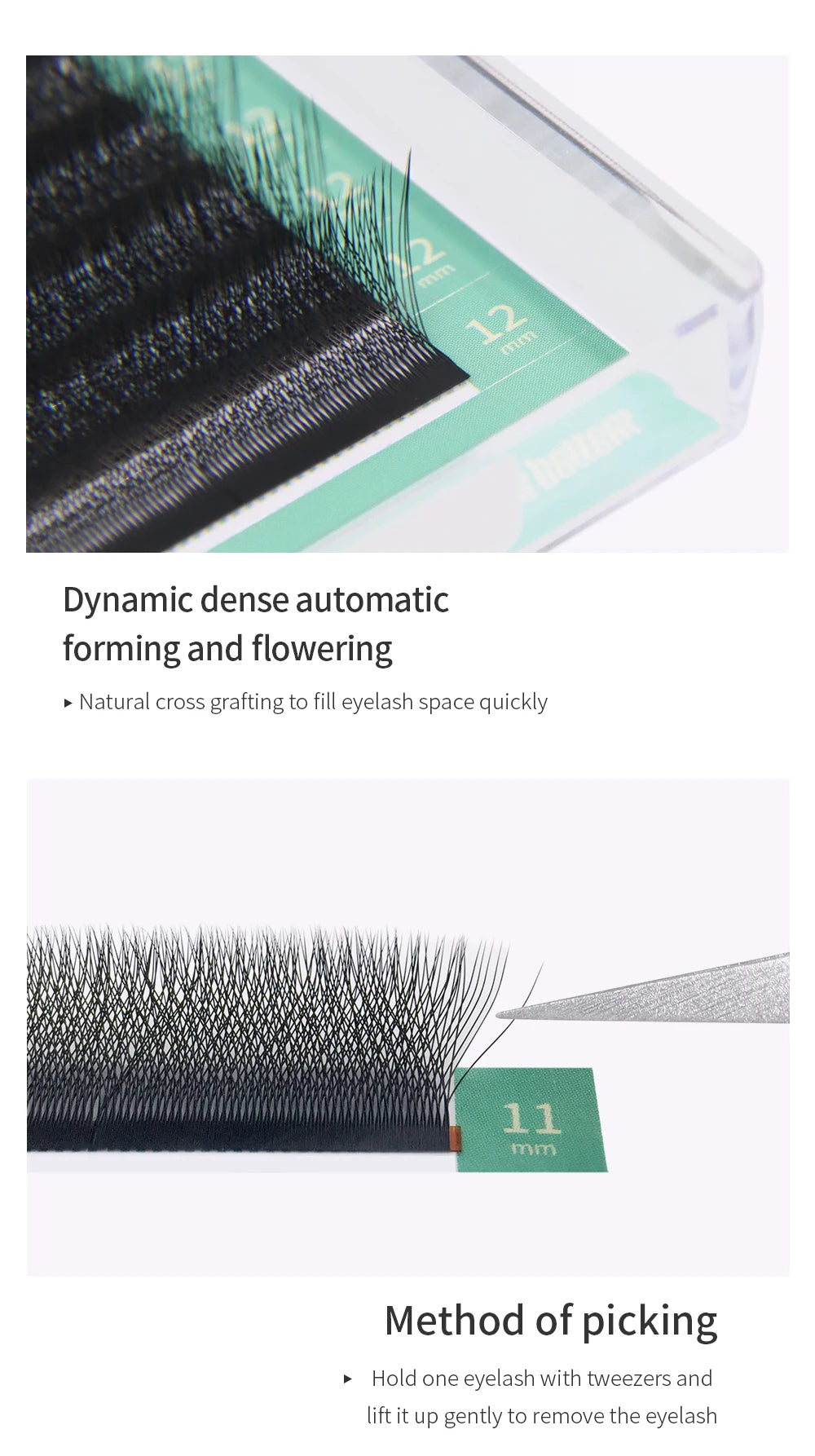 GLAMLASH 4D5D W Shaped Eyelash Extension Premade Volume Fans W Style Lashes Faux Mink Soft Easy Faning Natural Lashes