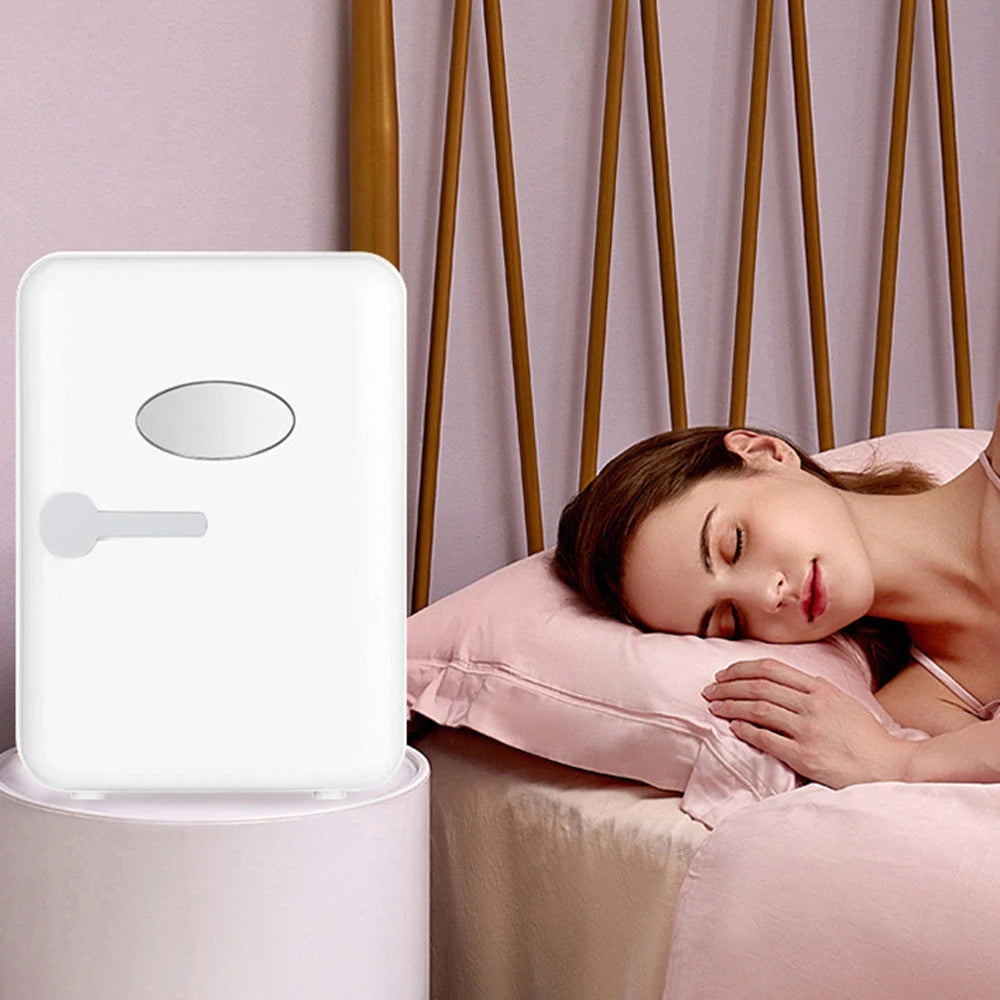 4L Mini Usb Refrigerator Portable Cooler Compact Refrigerator Single Door Small Fridge Skin Cosmetic Fridge For Car Home EU US