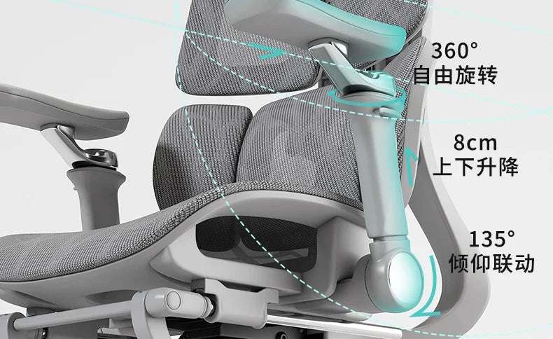 Ergonomic Lift Office Chair with Lumbar Support Household Gaming Esports Chair Household Computer Chair