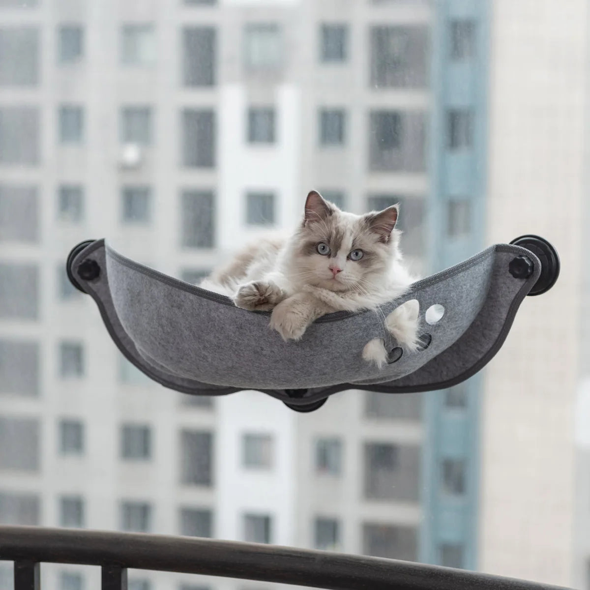 Hot Sale Pet Hammock Beds Bearing 20kg Cat Window Lounger Suction Hammock Pet Cat Window shelf Comfortable Cat Ferret Pet Bed
