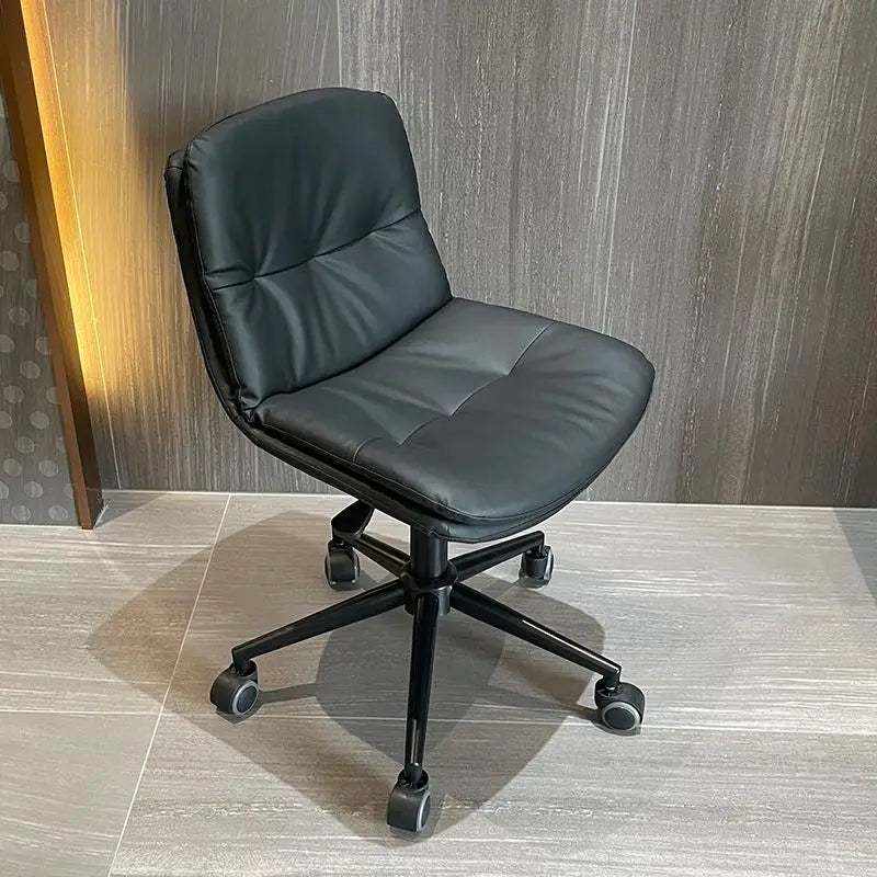 Modern Simple Style Home Office Chair Small Beautiful Desk Chair Students Comfortable Sedentary Computer Lounge Chair News