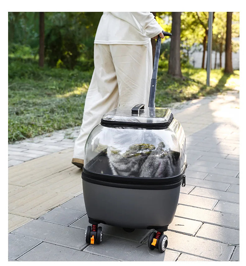 Fashion Transparent Cat Cage Large Capacity Pet Suitcase Breathable Cat Carriers Pull Rod/Handheld Dual Use Cat Transport Cart