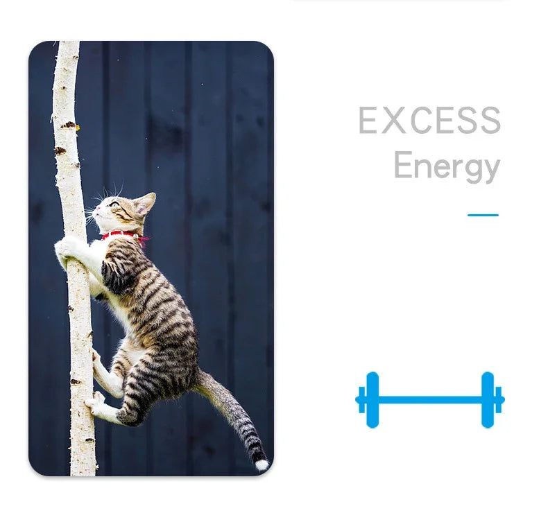 Mini Electric Bug Pet Dog Cat Toy Interactive Cute Ladybird Beetle Animal Shape Cat Toys Walking Insect Cat Playing Supplies