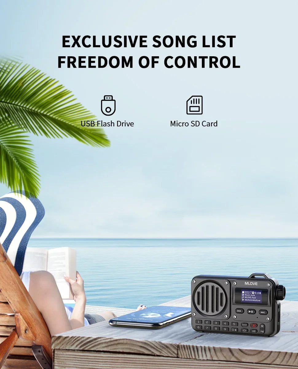 BV800 Super-Portable Bluetooth Speaker with FM Radio,LCD Screen Display, Antenna, AUX Input, USB Disk, TF Card, MP3 Player