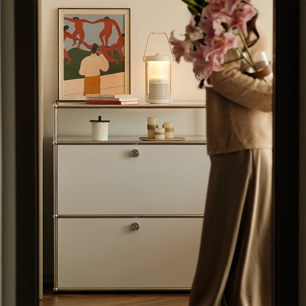 Cabinet for living room Storage locker drawer type storage Bedroom chest of drawers Organizer furniture Dual cabinet combination