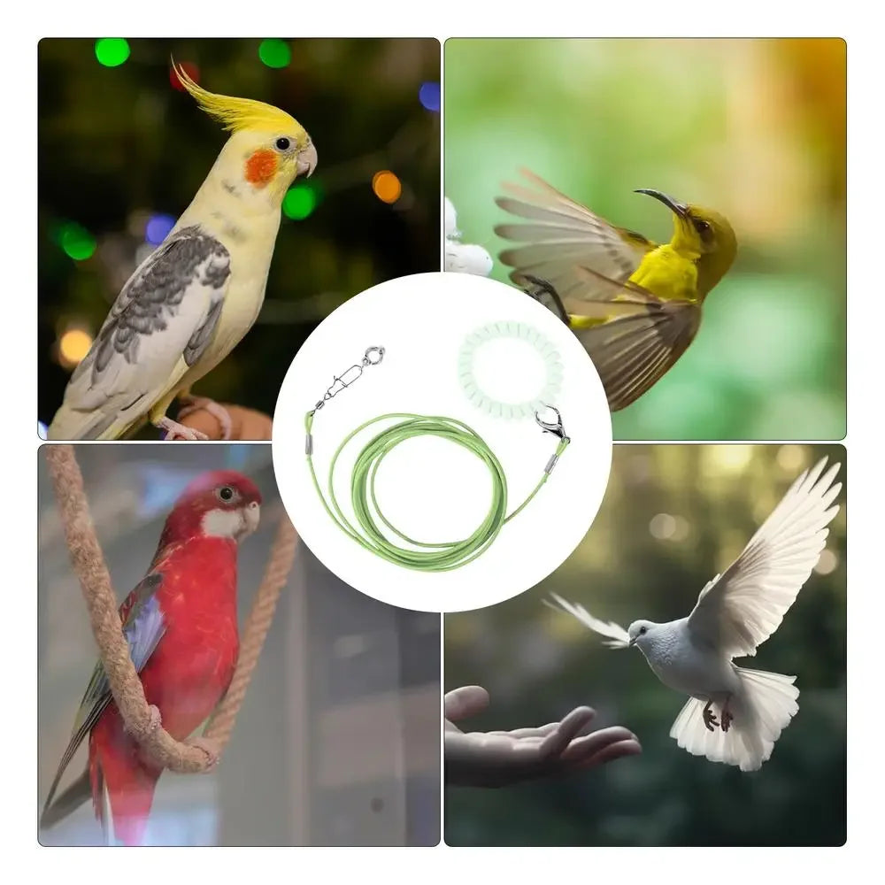 Parrot Bird Flying Training Leashh Rope Anti-flying Foot Chainsize 6 foot ring Ring Outdoor Birds Supplies