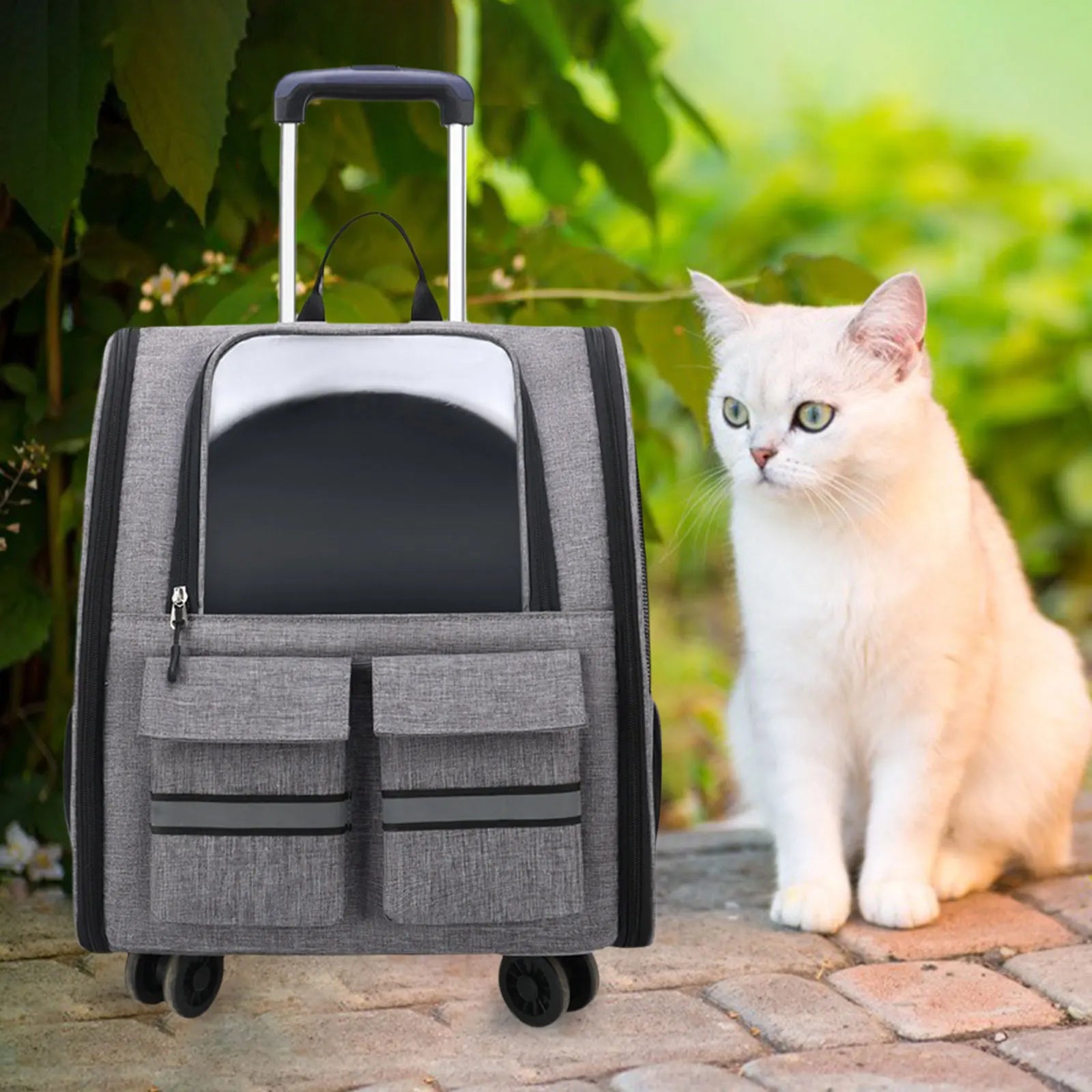 Portable Cat Trolley Case Backpack with Handle Pet Carrier Handbag Carrying Bag for Small Cats Doggy Travel Outdoor Transparent