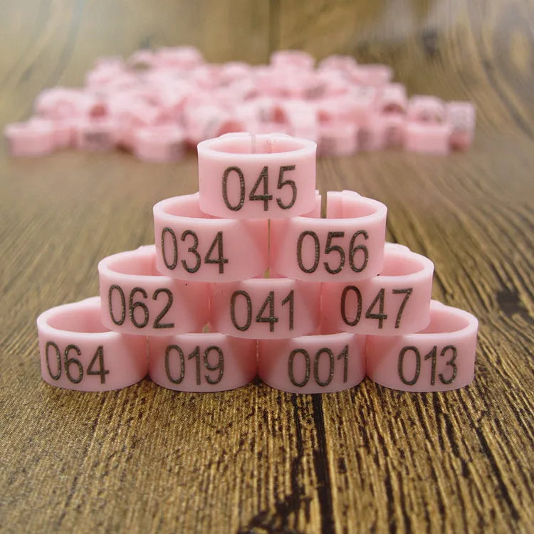 100pcs Bird Clip Ring ID 8mm Plastic Digital Markup Parrot Pigeons 10 Colors Marking Ring 8mm Bird Training Foot Ring 001-100
