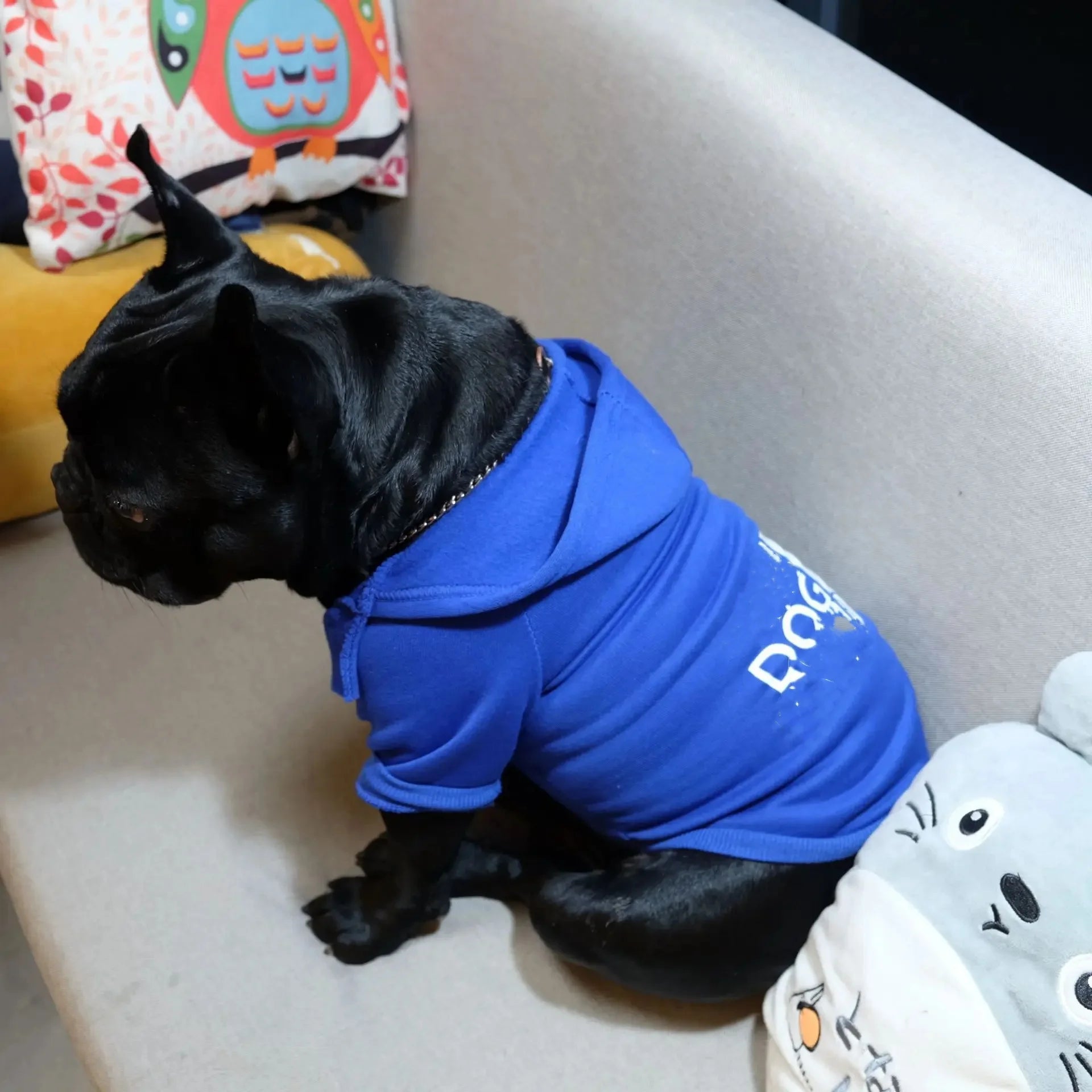 Pet Casual Hoodies, Dog Clothes, Large Dogs Coat, Jacket for Labrador, Costume, French Bulldog Apparel,Autumn， Puppy Sweater