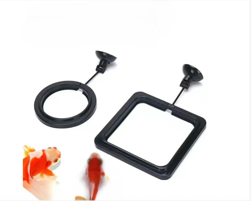 Black Color Aquarium Feeding Ring Fish Tank Floating Food Tray Feeder Square Circle Accessory Fish Food Feeder Suction Cup