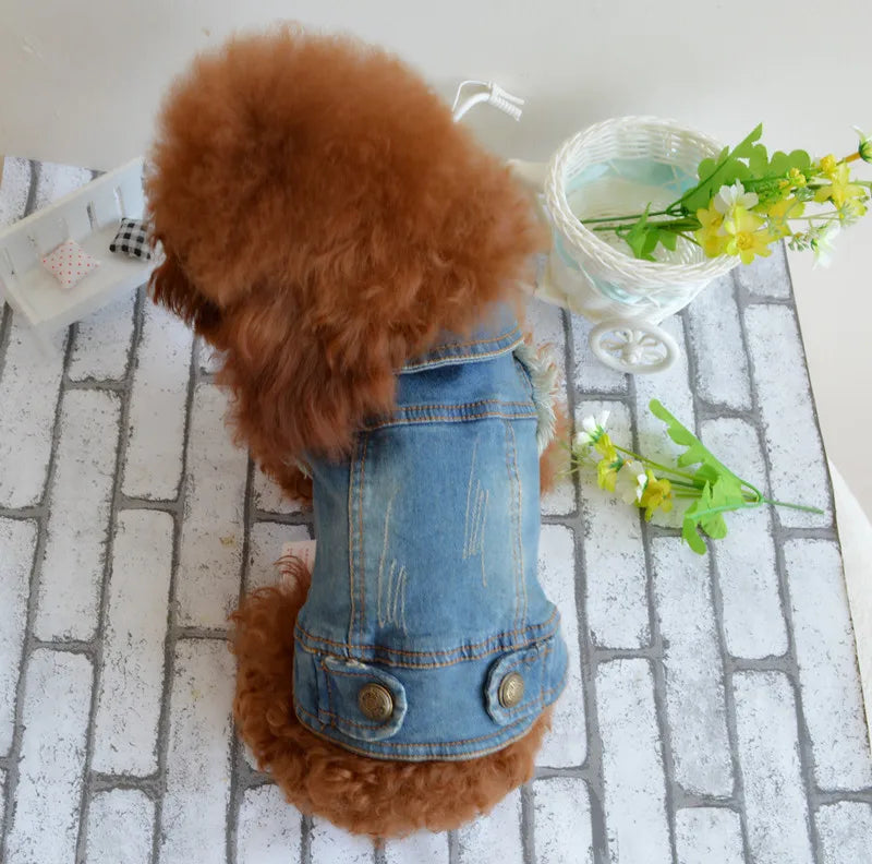 XKSRWE Dogs and Cats Jean Jacket Vest Paw Print Pet Puppy Denim Coat Spring/Autumn Clothing Apparel 6 Sizes