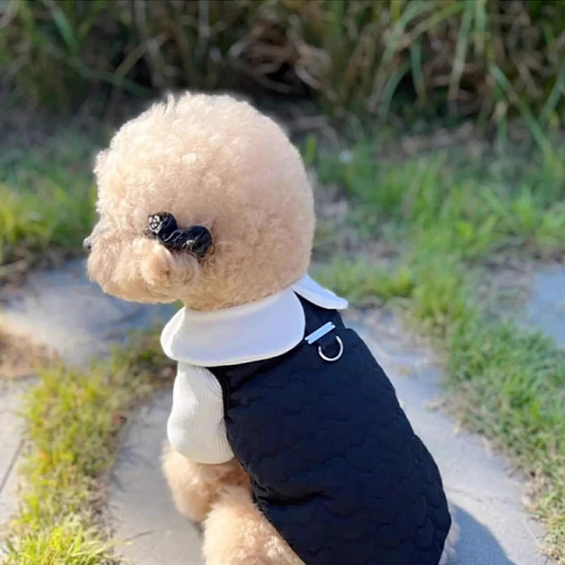 Winter Dog Dress Black White Cotton Dog Clothes for Small Dogs Pet Warm Vest Puppy Skirt Chihuahua Yorkshire Apparels Dog Coat