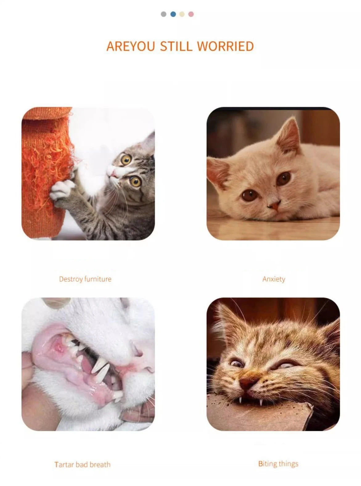 New Cat toys make sounds, carrots, cat sticks, self-sex, kitten teething sticks, resistant to bites, cats, toys, pet supplies