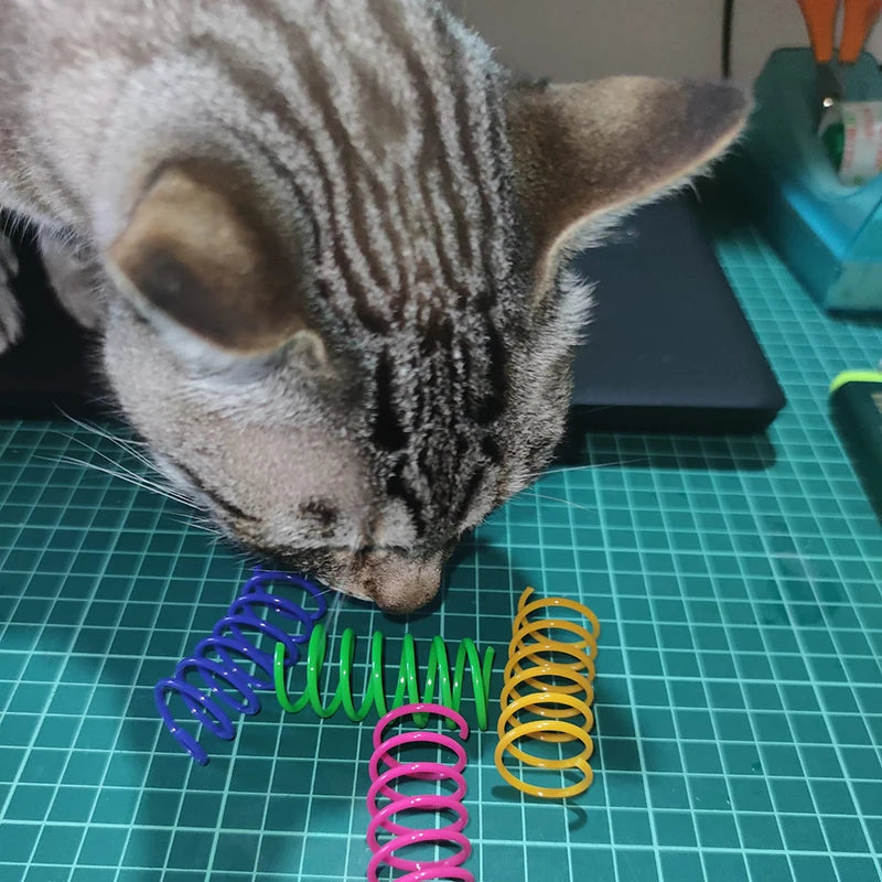 Kitten Cat Toys Wide Durable Heavy Gauge Cat Spring Toy Colorful Springs Cat Pet Toy Coil Spiral Springs 4/8/16/20pcs