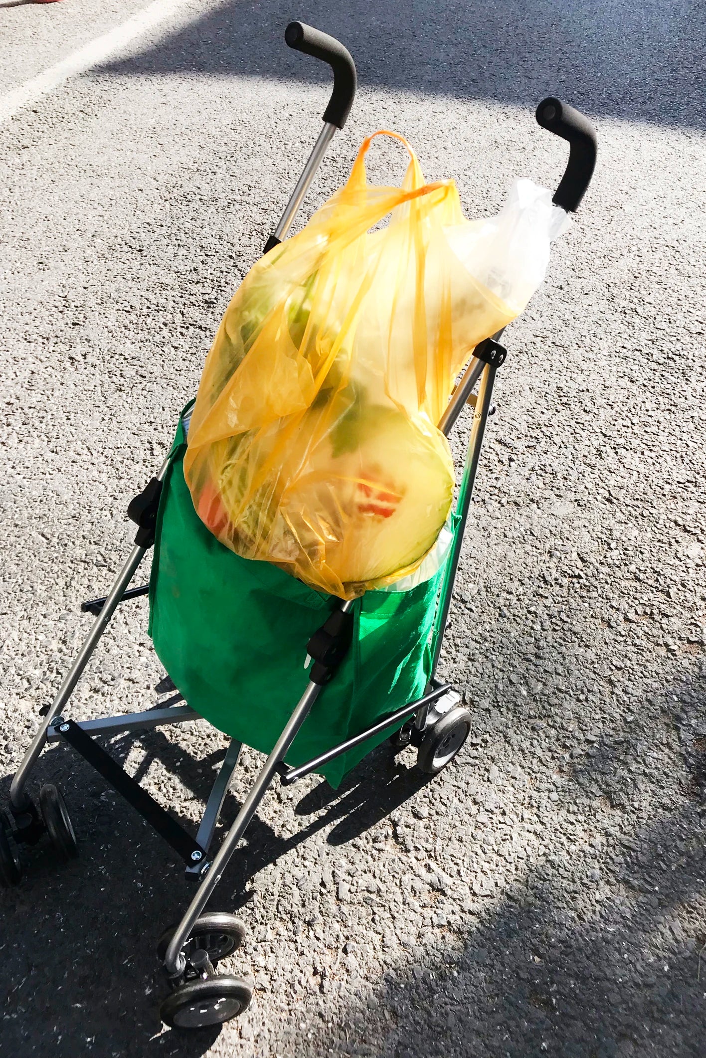 Winter Pet Stroller Frame For Car Seat Bag Simple Foldable Trolley Transport Multifunction Cat Dog Stroller