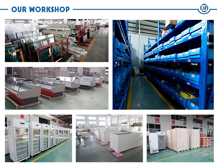 230L Four Degree Laboratory Fridge  Refrigerator Price