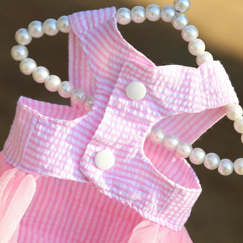 Dog Summer Dress Cat Lace Skirt Pet Clothing Chihuahua Stripe Skirt Puppy Cat Princess Apparel Cute Puppy Clothe Dog Accessories