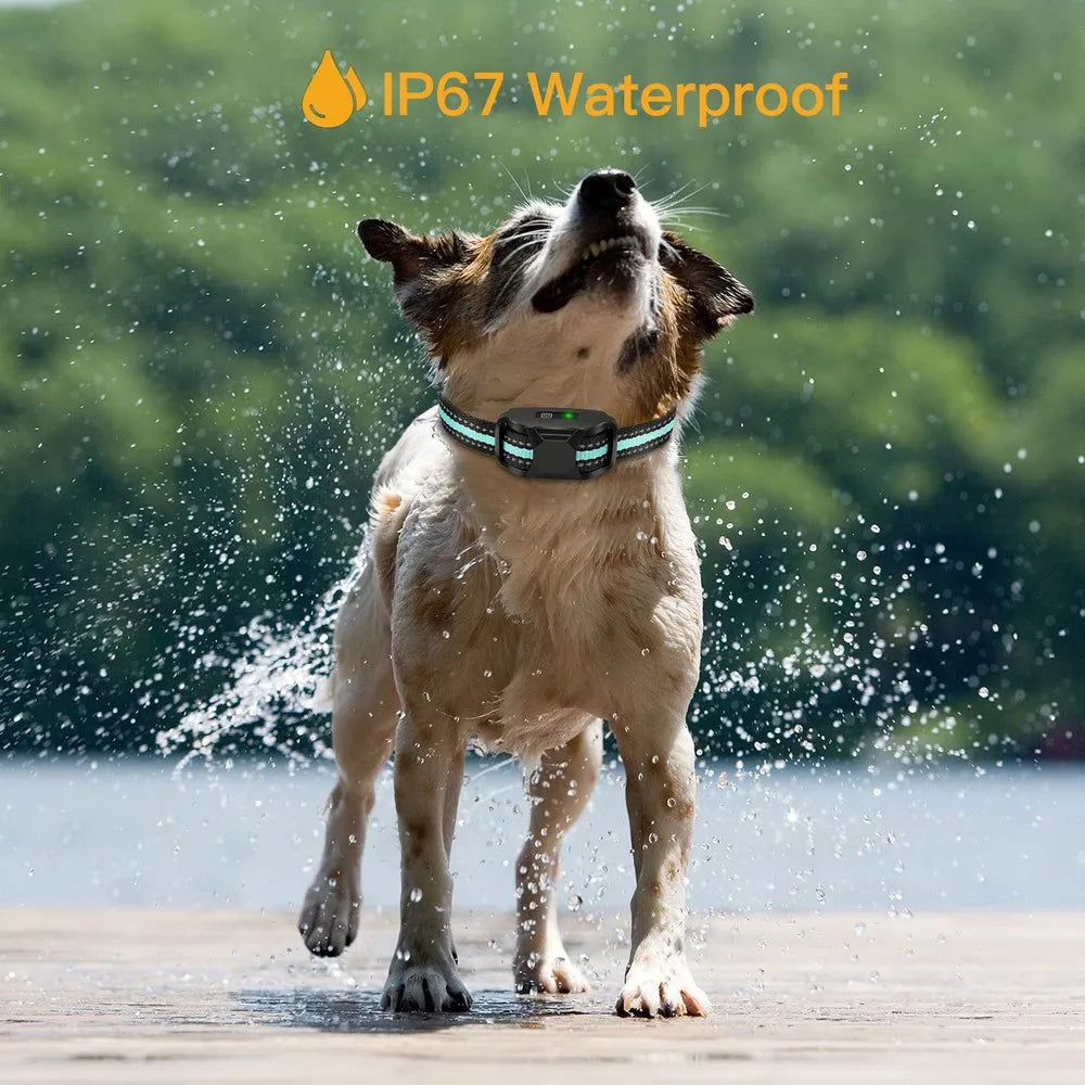 No Shock 3300Ft Dog Training Collar with Remote Rechargeable Waterproof E Collar with Beep Vibration High Quality Pet Training