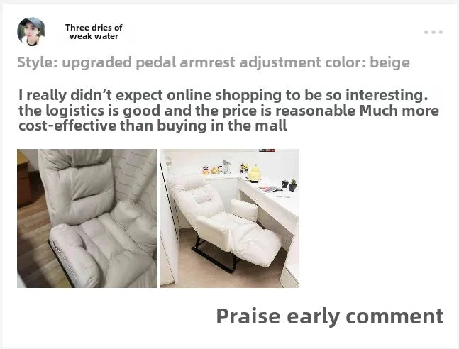 Computer Chair, Home, Comfort, Lazy, Sofa, Sedentary, Backrest, Office, College Students, Dormitory, E-sports, Live Broadcast