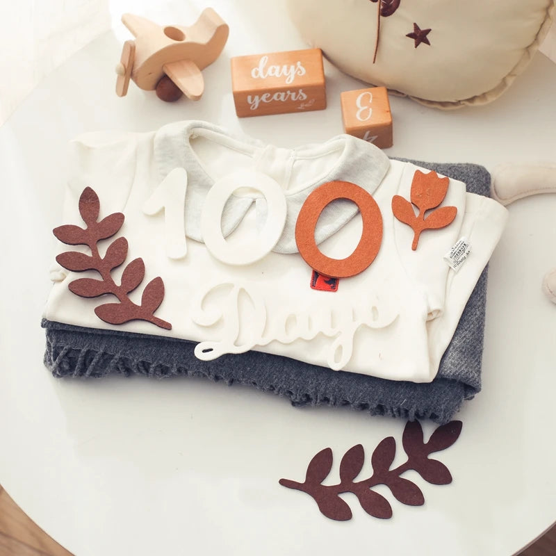 Felt 0 12 month Newborn Photography Props Milestone Newborn Accessories Photography Shooting Prop Baby Room Decorate Accessories