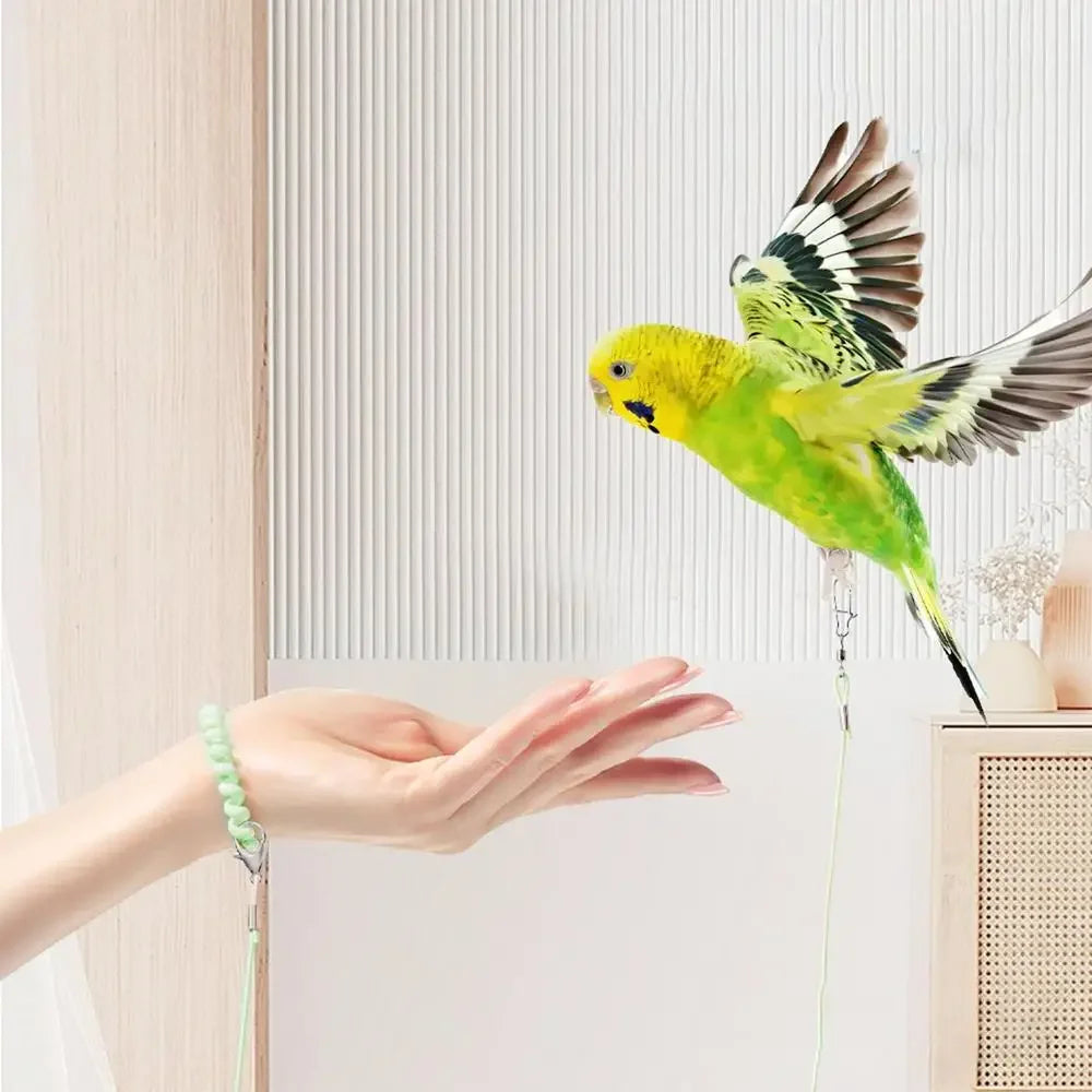 Parrot Bird Flying Training Leashh Rope Anti-flying Foot Chainsize 6 foot ring Ring Outdoor Birds Supplies