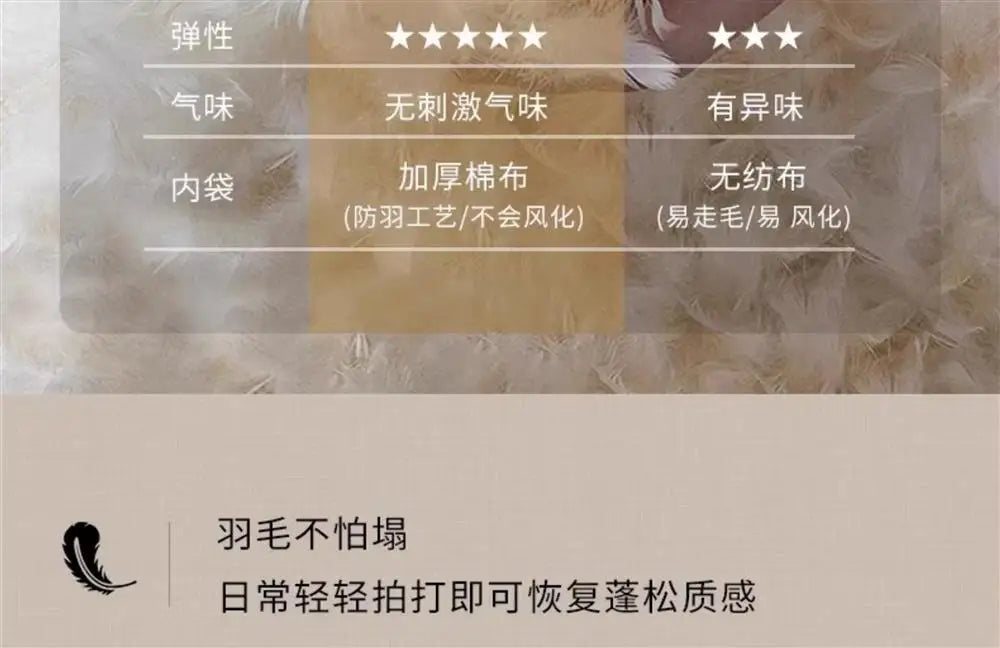 Lounge Double Living Room Sofas Floor Designer Cushion Elegant Sofa Comfortable Relax Divani Da Soggiorno House Accessories