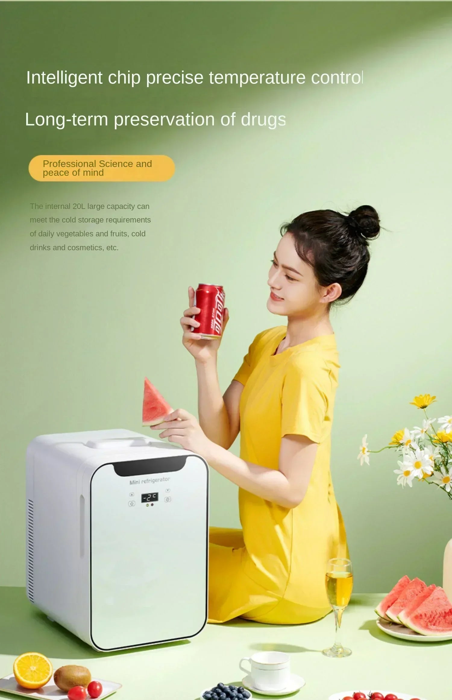 220V EOS Mini Compact Refrigerator for Bedroom, Dorm Room, Office and Travel CAB