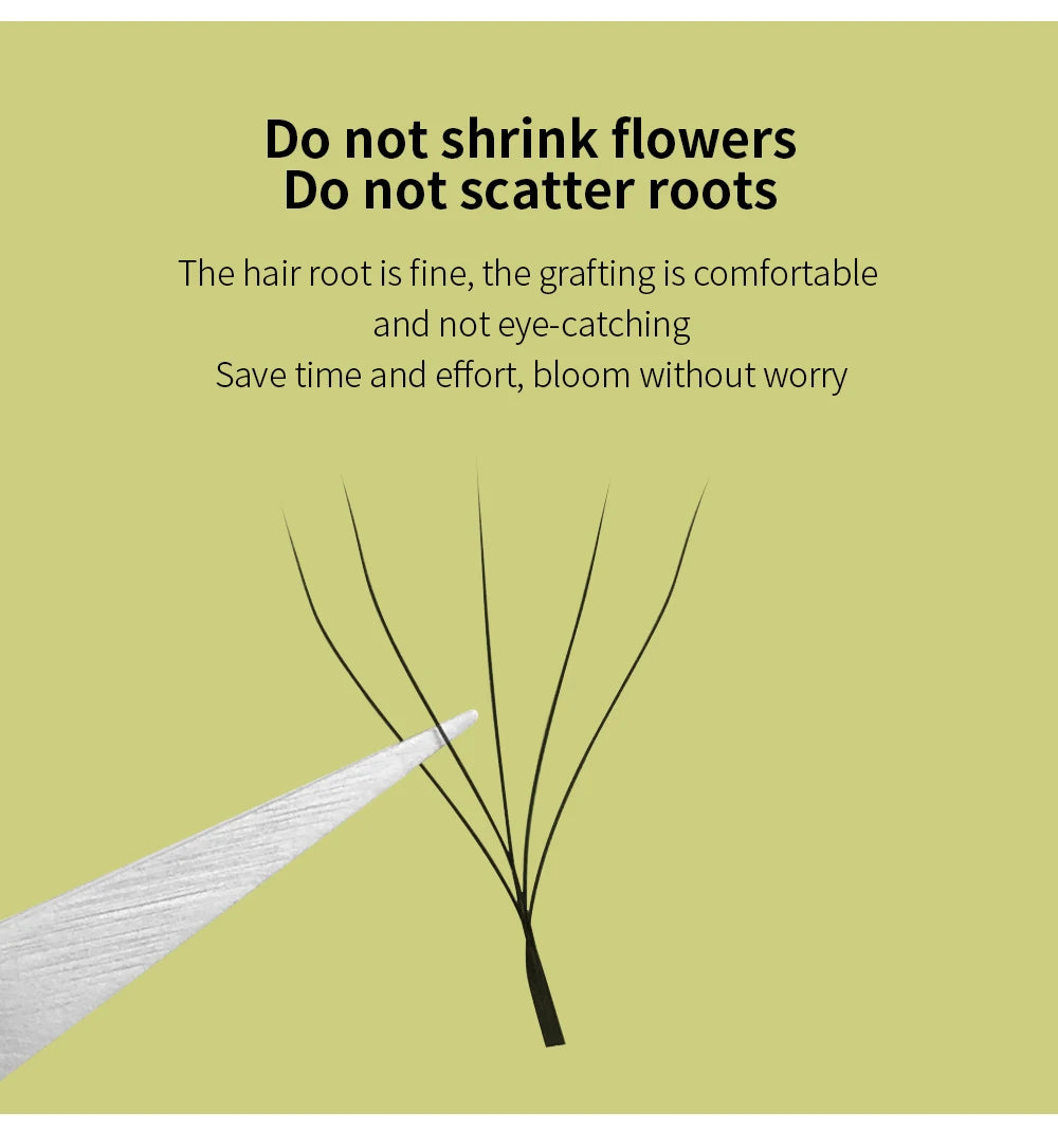 GLAMLASH 3D 4D 5D W Shaped Eyelash Lashes Easy Fan Eyelash Extensions Wholesales YY Premade Volume 12 Rows W Style Natural Soft