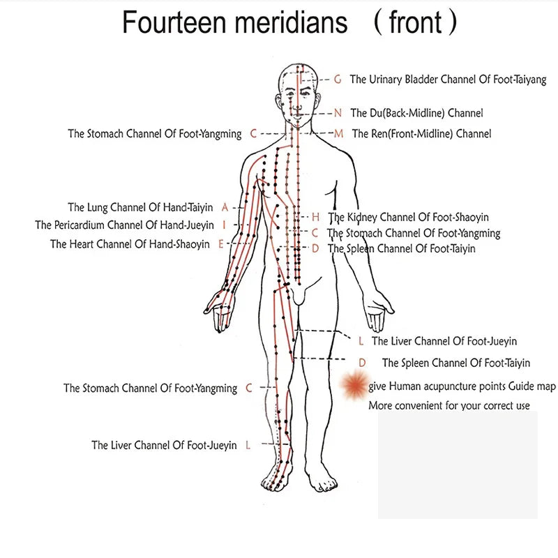 Hwato SDZ III Electro Low-Frequency Acupuncture Stimulator 6 Channels Acupuncture Needle Treatment for Nerve and Muscle Massage