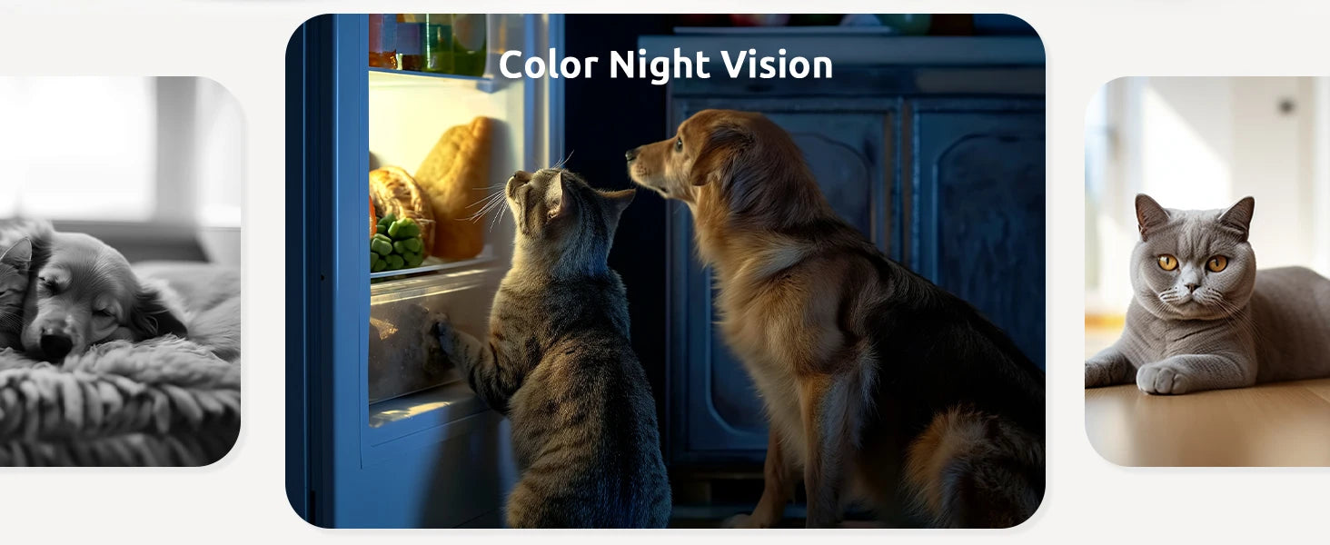 blurams Pet Camera 2K, 360° Indoor Security Camera, Dog Camera with Phone App, PTZ Cameras for Home Security Indoor, 2-Way Audio