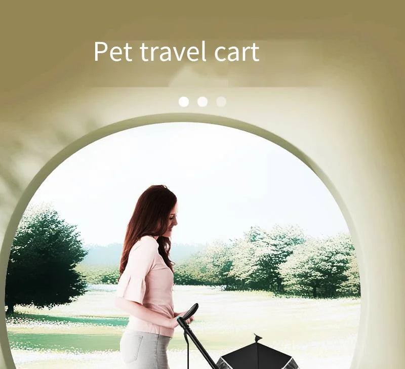Pet Stroller with A Load-bearing Capacity of 20kg Cat Dog Stroller Small Lightweight Foldable Teddy Bear Outdoor Cart Detachable