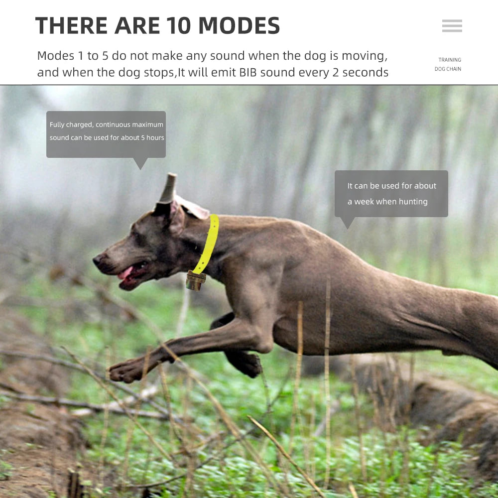 Sound Localization Collar For Hunting Dogs Beeper Dog Training Collar Waterproof Beeper Collars For Sports Training