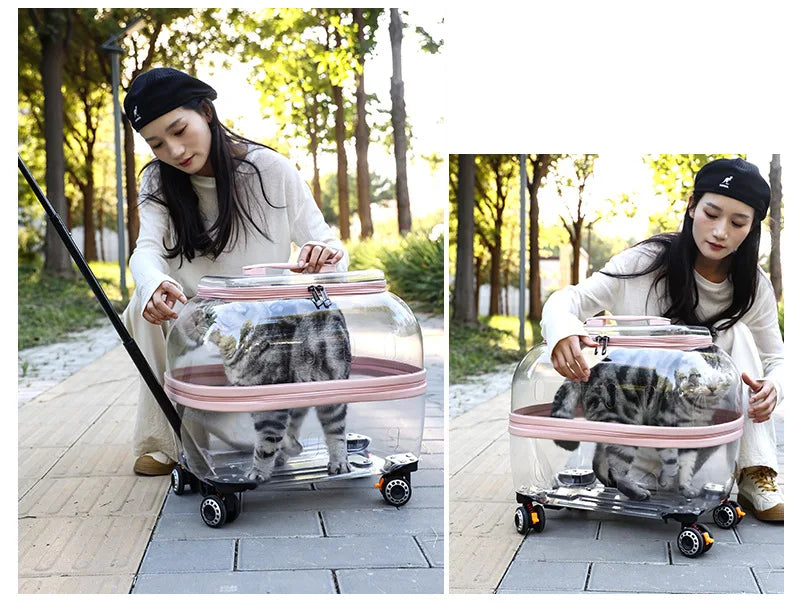 Fashion Transparent Cat Cage Large Capacity Pet Suitcase Breathable Cat Carriers Pull Rod/Handheld Dual Use Cat Transport Cart
