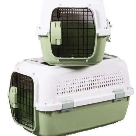 Boeing Pet Carrier Safety and IATA Standard