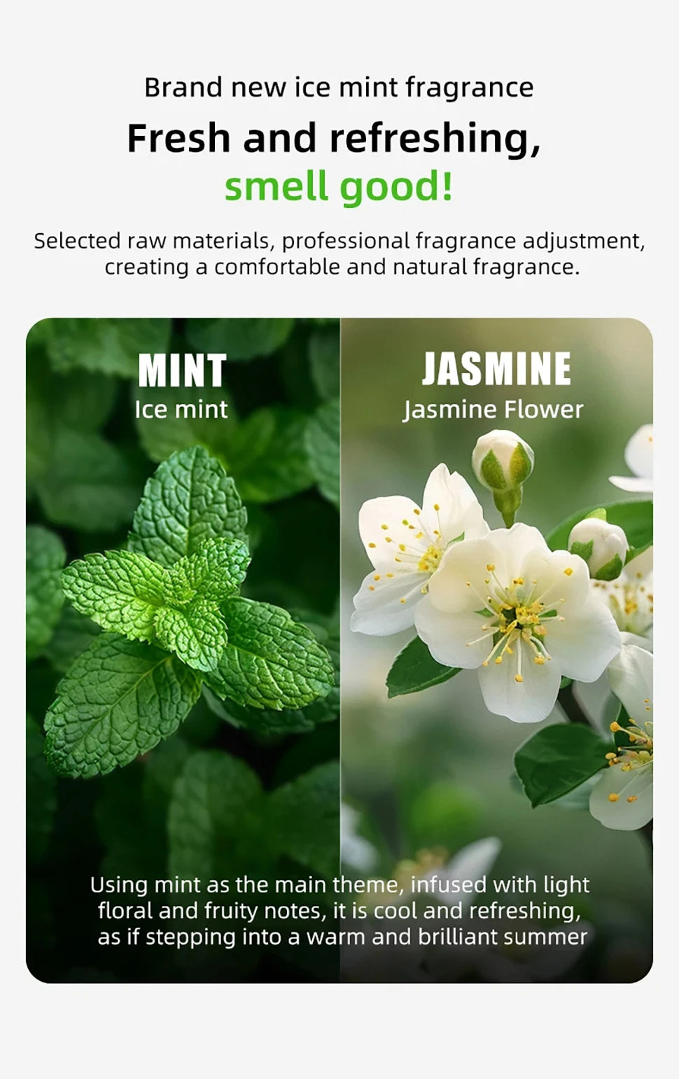 PETKIT N50 Second Deodorant cubes generation For PURA MAX cat litter box automatic Pet supplies Cats puramax2 parts deodorizer