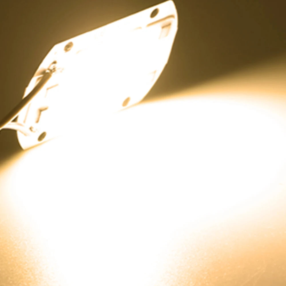 COB Chip LED Lamp 220V 10W 20W 30W 50W Smart IC No Need Driver Lampada LED Bulb Lamp For Flood Light Spotlight Diy Lighting