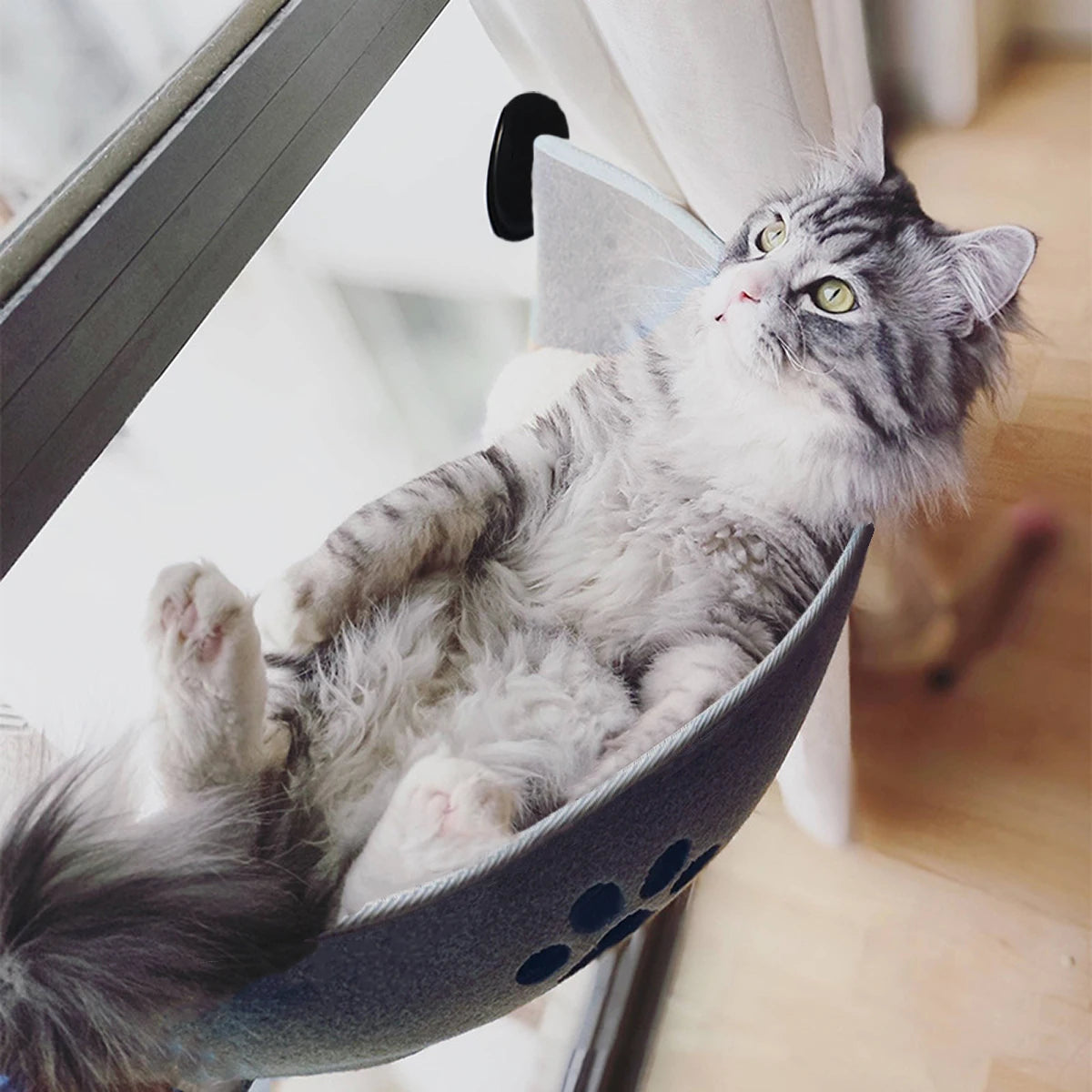 Hot Sale Pet Hammock Beds Bearing 20kg Cat Window Lounger Suction Hammock Pet Cat Window shelf Comfortable Cat Ferret Pet Bed