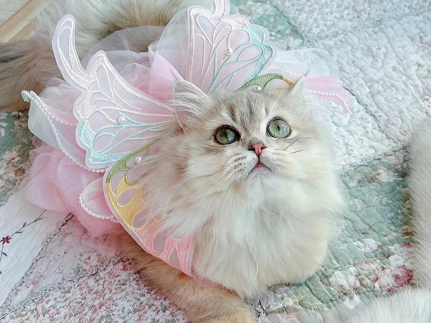 Dog Cat spring princess Dress Lace Skirt Pet Clothing Stripe Skirt Puppy Princess Apparel Cute Puppy Clothes Pet cat clothes